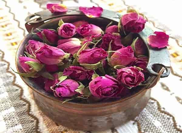 تصویر 4 از قیمت خرید گل محمدی خوراکی + فروش ویژه